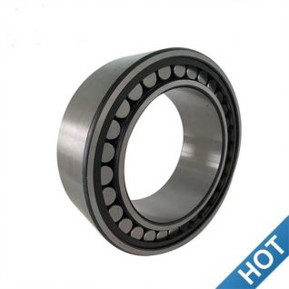 CARB Toroidal Roller Bearings,Roller Bearings