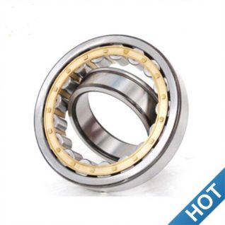 Cylindrical Roller Bearings,Roller Bearings