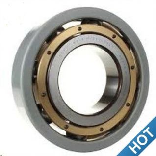 Insocoat Bearings,Special Bearings