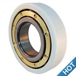 Insocoat Bearings,Special Bearings