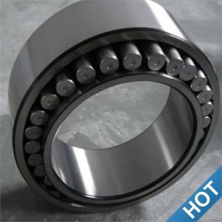 CARB Toroidal Roller Bearings,Roller Bearings